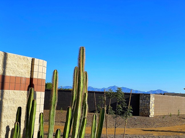 9FDC6556-E4C6-48EB-9EC7-F59EDF2A94C9_1_105_c