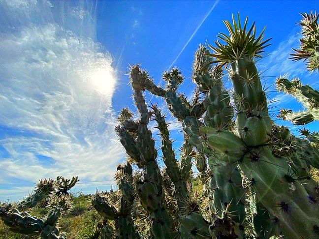 025504BB-A4BD-4D6C-B57D-462D42E8DBB3