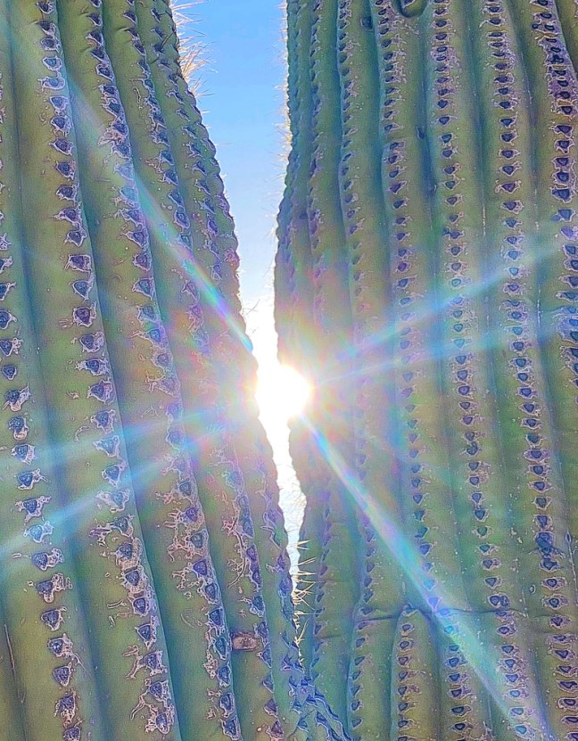 9EC73119-0BCC-4D15-91E5-E98D872AD847_1_105_c