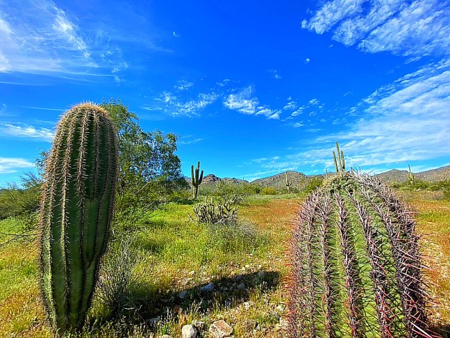 B867725F-B17B-44F7-9A85-C712943007E6