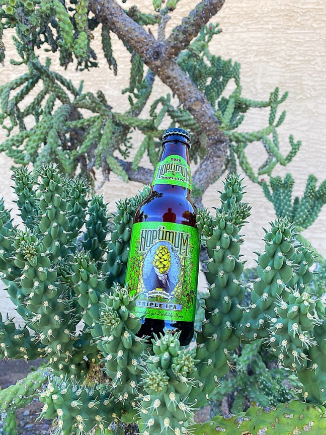 E752DD93-8FB0-4CDE-BF1A-9F389A258D88_1_105_c