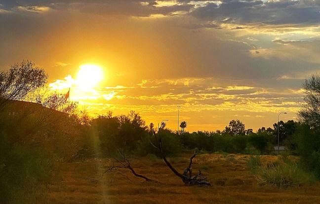 F0CB0E40-A884-4CDD-93FE-F7F19FB63C8E_1_105_c