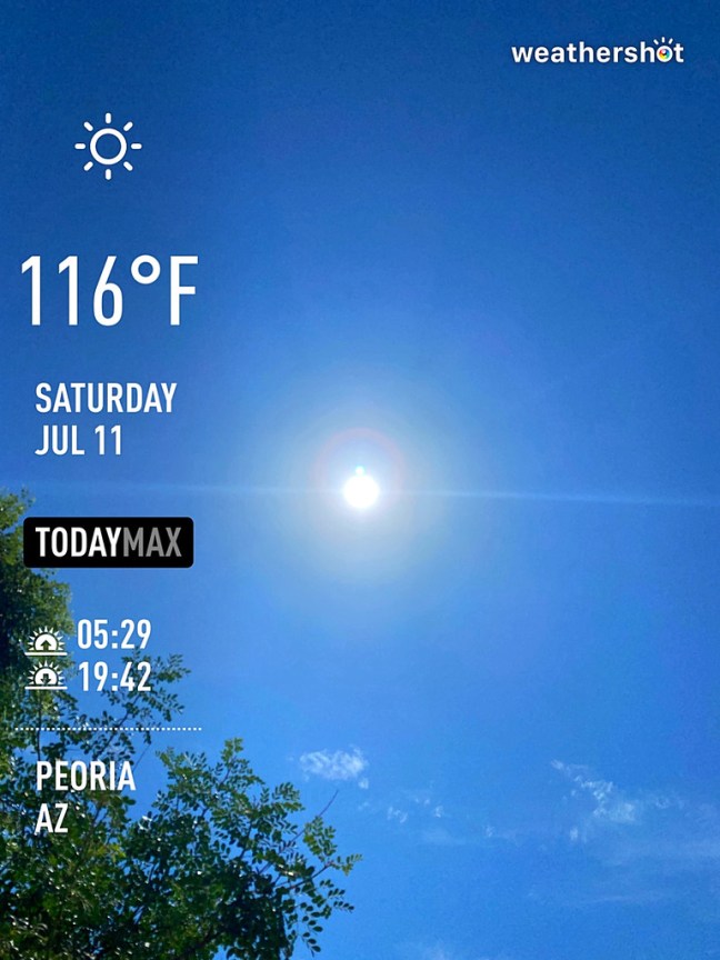 90EAD7B8-6F24-4215-8EF6-CF2AD4BDDBD2_1_105_c