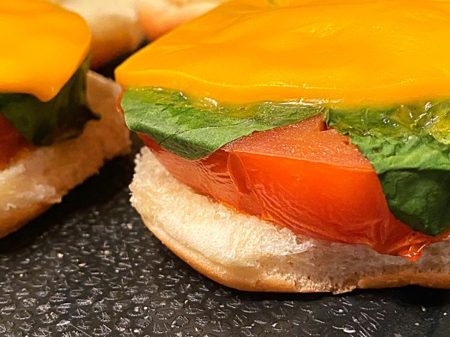 2F9F2082-BDE1-4ABA-8AB0-57091A13B3F5_1_105_c