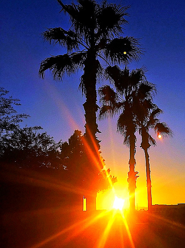 87486516-5EA3-4017-A3FE-35CC06F9C949