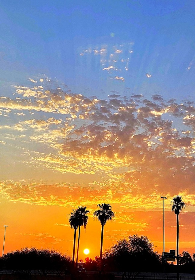 9C252A0F-93FD-4AF5-8250-B43769989F0A_1_105_c