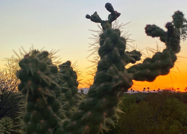 257ACE57-24D7-4512-8746-0239FA451688_1_105_c