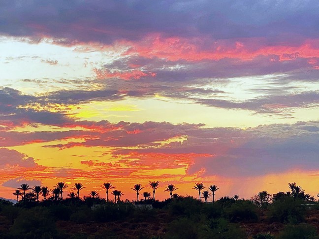 C699C7DB-5BF3-4314-BB58-2AAF695F991B_1_105_c