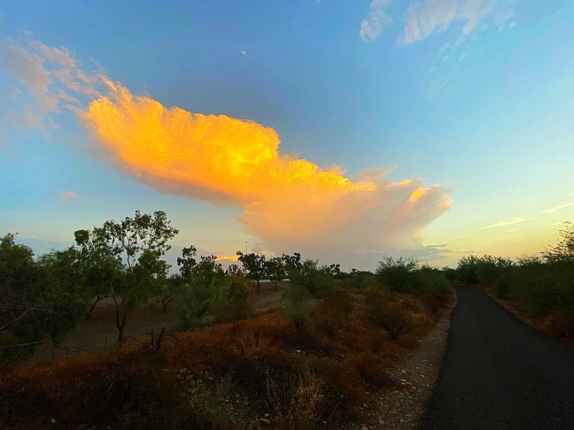 DA03FB24-7A8F-4465-8199-7C1E8125F07F_1_105_c