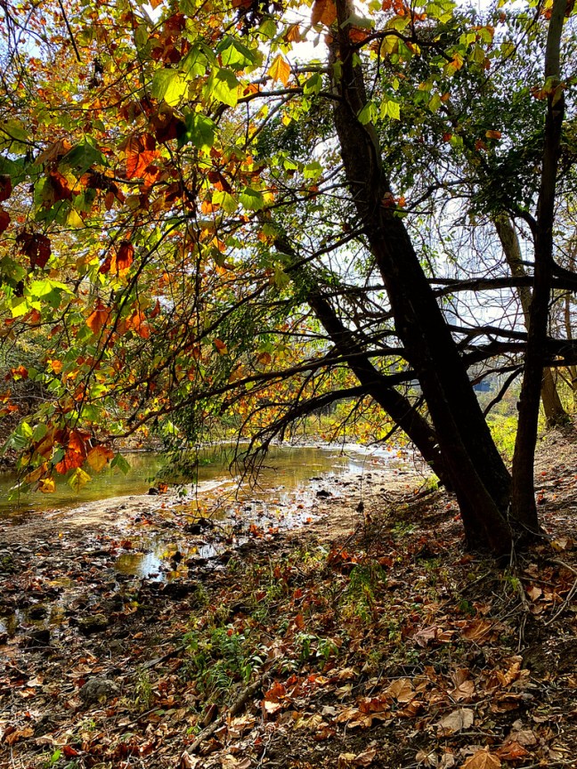 1C46C2AC-BBB2-42BC-AB59-4F24D1A413ED_1_105_c