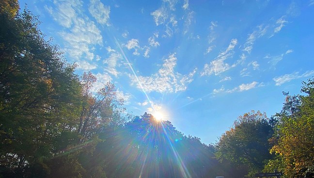 46A649ED-C128-4F8E-A30E-AEE11F609535_1_105_c