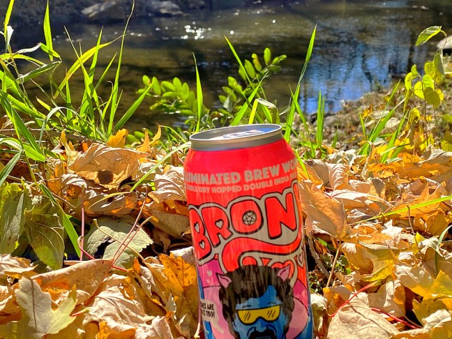 49114E75-5E22-47DE-AF9B-06EBACC5DDA3_1_105_c