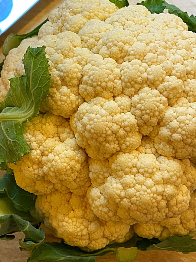 314C8D54-8F95-49FC-AEC0-7C65413E122E_1_105_c