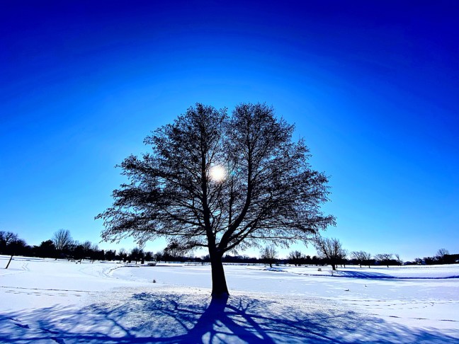 A1498D65-F797-4256-A8B4-2823D4532881_1_105_c