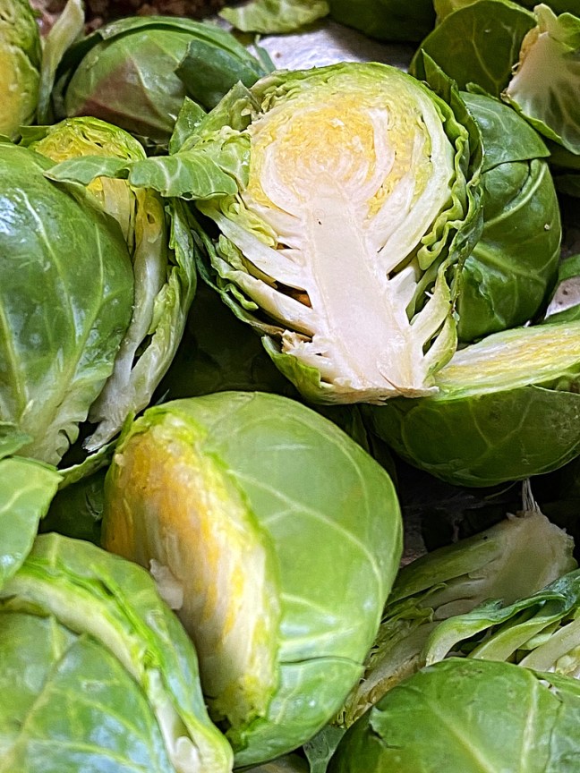 DD0C94A1-766B-4F8F-9126-FBF354F7EC51_1_105_c