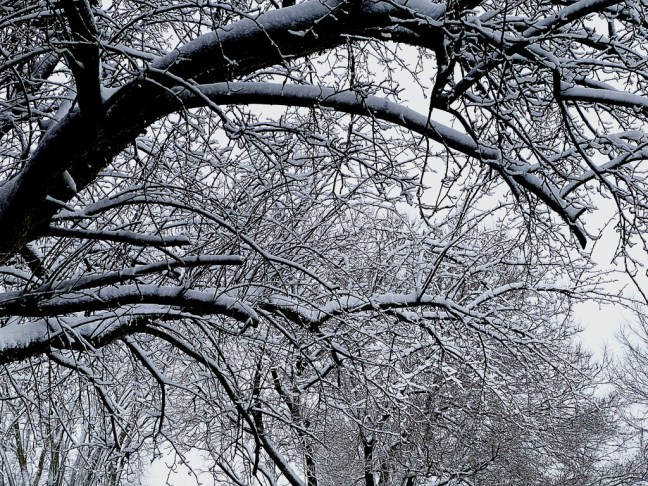 FC9A456B-EED9-4A39-B6FB-1AA930CFEF1F_1_105_c