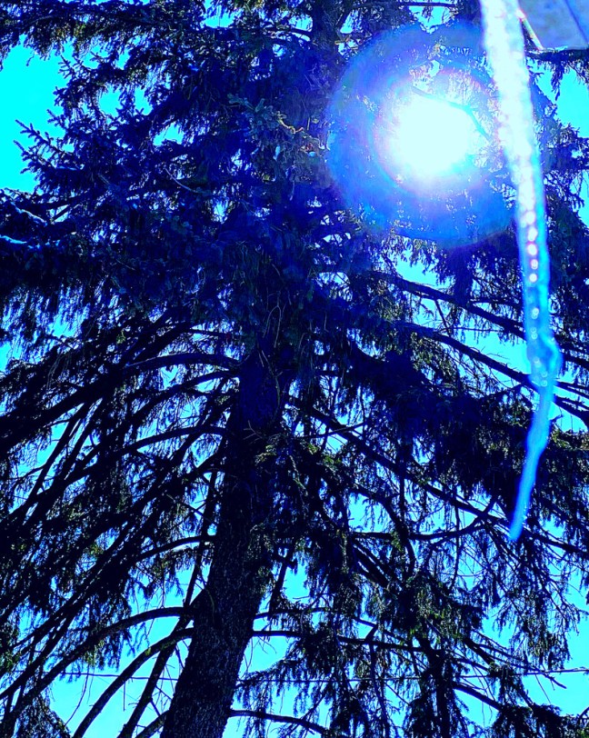 5E5D4FA0-1238-4B80-AFB9-15D8EE3F05E0_1_105_c