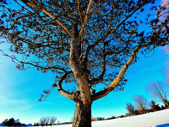 C6AB4A92-F643-450E-BBF8-CCE0709F5669_1_105_c