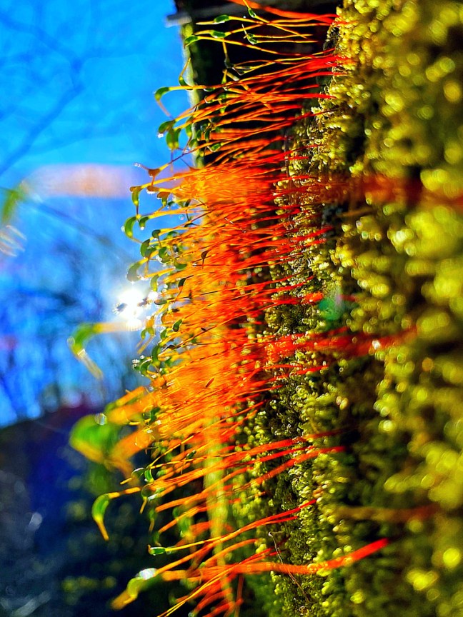 6F1BF8ED-9BF0-4404-B5C1-A70C10DBC6D7_1_105_c