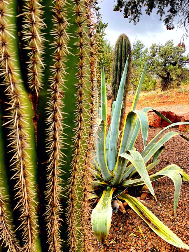 A3AB9DDA-DE35-40E1-B94B-2822665CB098_1_105_c