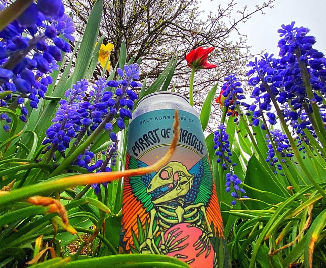 AEDDD646-9EDF-40A5-8DA5-CFE7020B729F_1_105_c