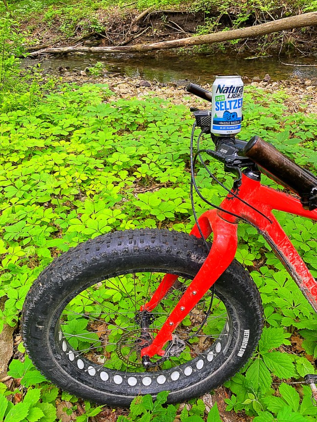 D8B2C9FC-AE03-4818-9CF8-7E0C7B1EF459_1_105_c