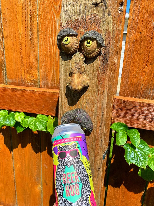 0ED0F5E1-8EE0-4B18-A496-C0B018ACA68B_1_105_c