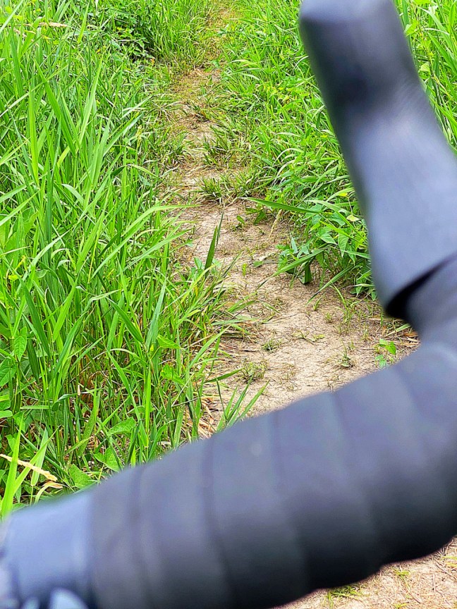 3FDF27E0-BC46-4DC0-8213-BF1A5034BB42_1_105_c