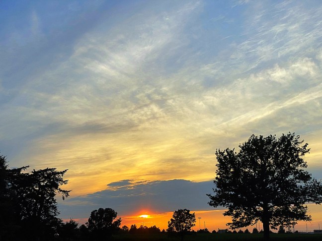 993AD483-E384-4596-BAAE-B06615B5737B_1_105_c