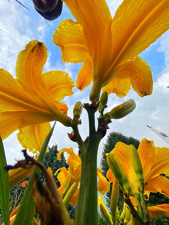 A3893314-A9B6-49AB-93B6-60BD5DF4BCB9_1_105_c