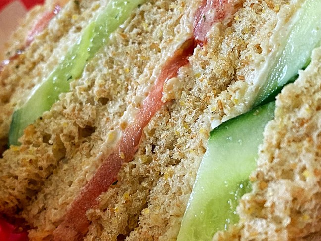 F0C1C1B6-3C98-4735-B57E-80598813F95F_1_105_c