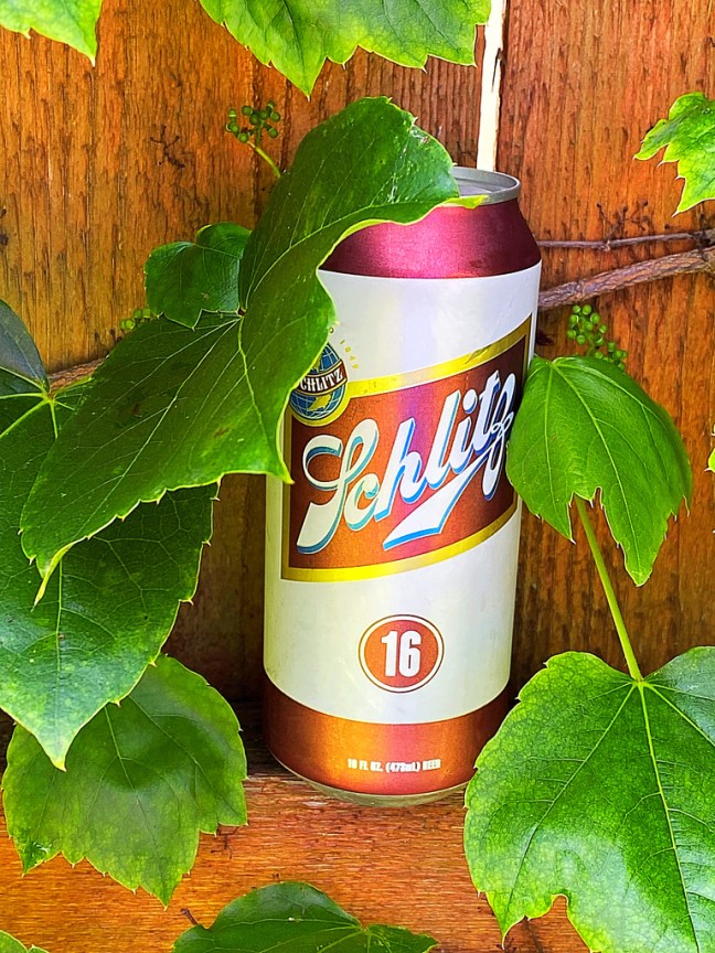 FE0839D8-49B8-4A7E-BB80-8EA49231B417_1_105_c