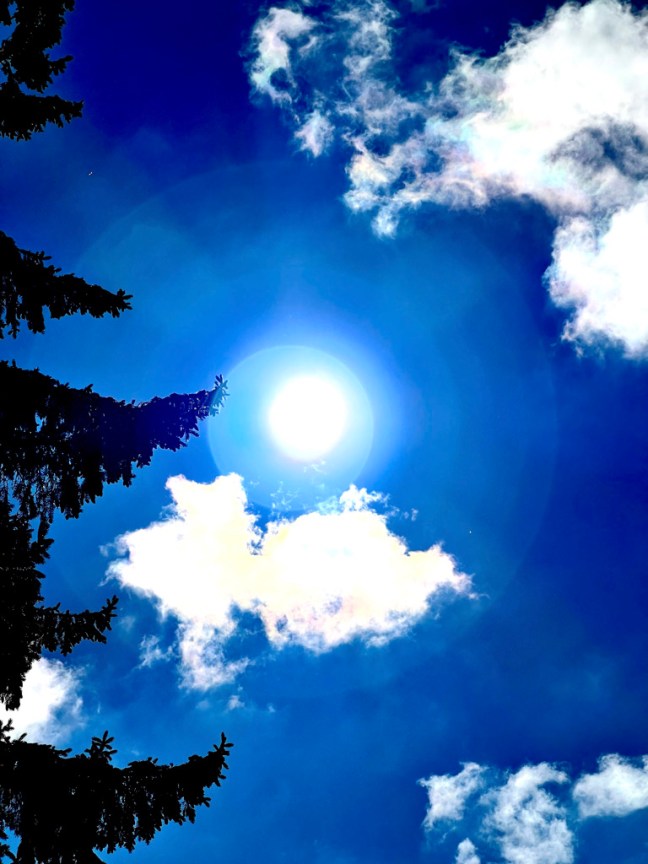 39A4ADDD-CCE5-41A3-ADB1-44B0C44796BE_1_105_c