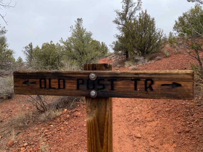 9DDD1B4C-FA0F-4FED-A649-7F6894DFB0B4_1_105_c