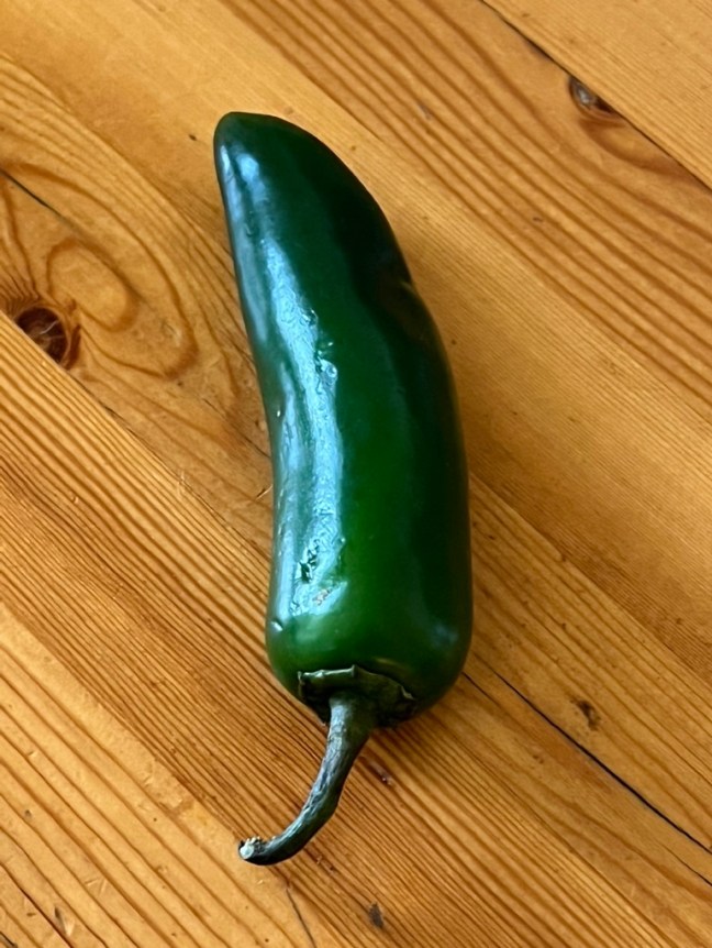 EC60FA16-F57C-40B7-96A4-1383FE137FC4_1_105_c