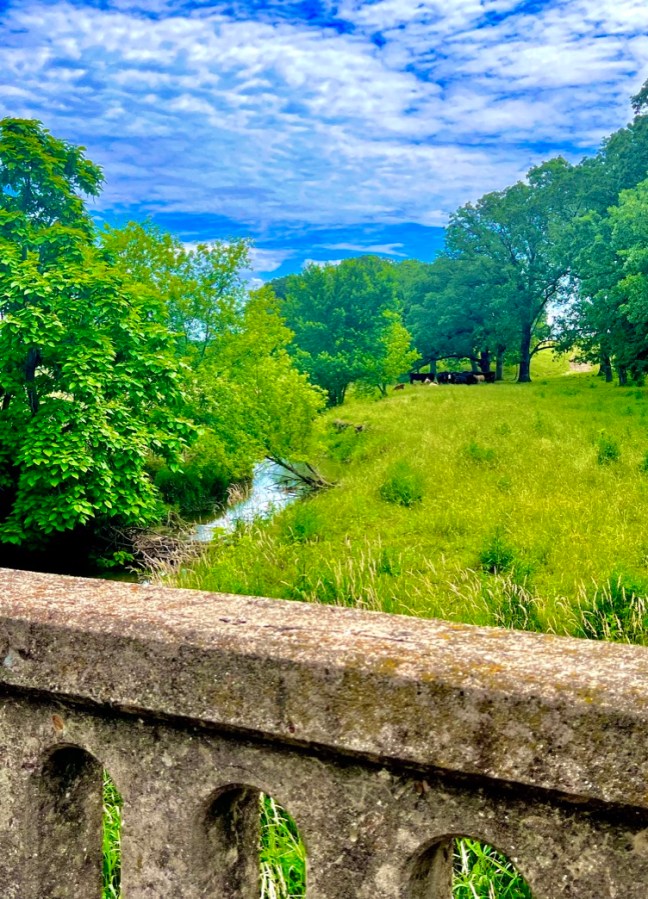 21FC6DD2-18D0-4013-B693-BB8C4A78337C_1_105_c