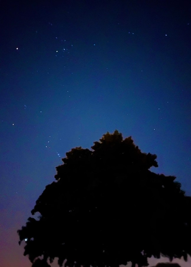 8BBD50D8-A670-472C-BF63-809F77ACC98E_1_105_c