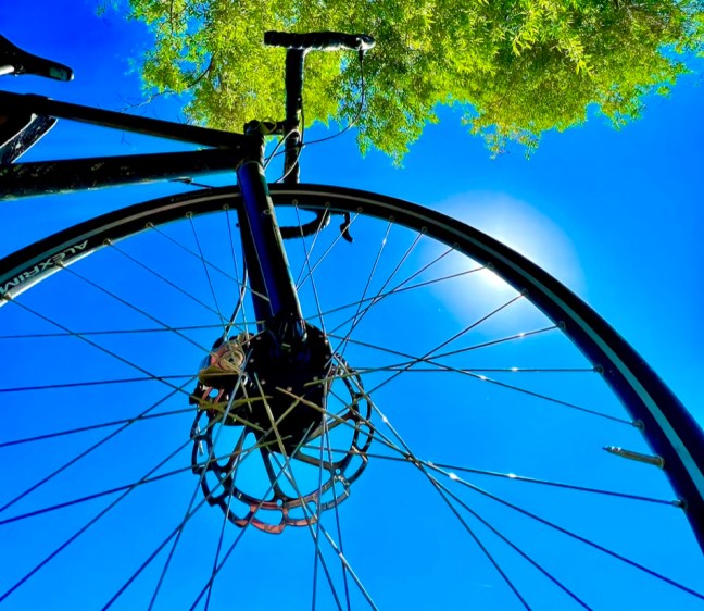 DAED0D69-5FF5-47AE-A721-9191DD771DE2_1_105_c