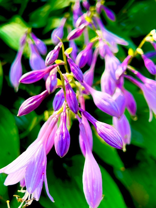 F609439F-619F-4C4F-9077-776271662F7D_1_105_c