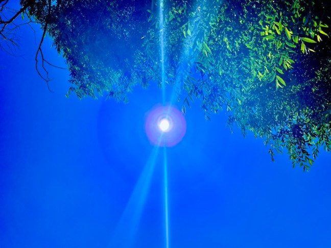 33DC6498-53AE-40E5-82A3-2BA57D7D97D6_1_105_c