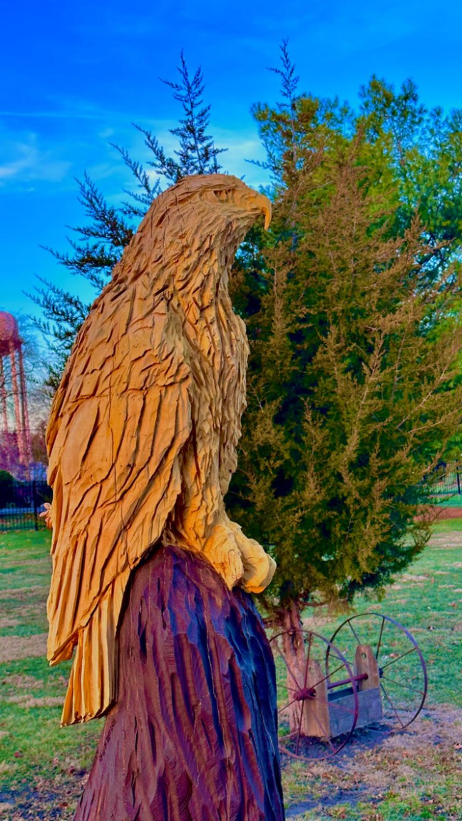 53209C4C-8251-4594-A8A5-155964D109C0_1_105_c