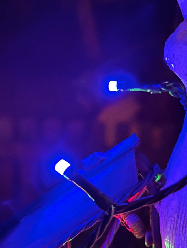 743ECBC3-C8C6-48C5-A46A-5878A0645CA2_1_105_c