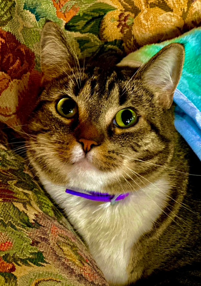 E7B78627-C58A-45B1-A499-9069307A4DAE_1_105_c