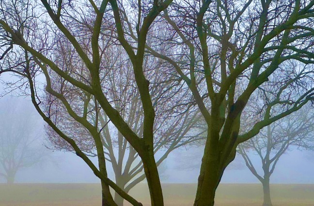 B1939471-FE18-4B1D-B9E4-7B481BB20972_1_201_a