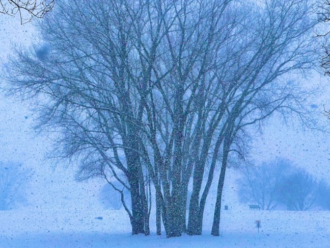 B9E20102-F26E-4433-B4D0-10E169D36DB3_1_105_c