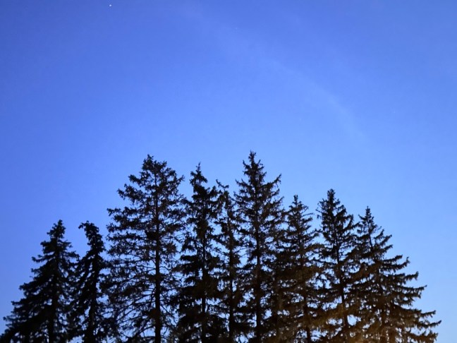 27F8DE8A-7A70-44F8-9883-07FC55121D6C_1_105_c