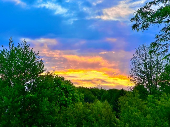 47AEDEE1-AF17-4B77-97BF-701F231F88EE_1_105_c