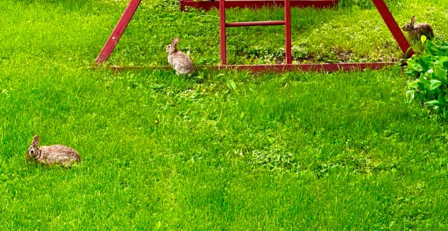 0395FE81-4A00-44C8-8D9D-CEF50E180A08_1_105_c