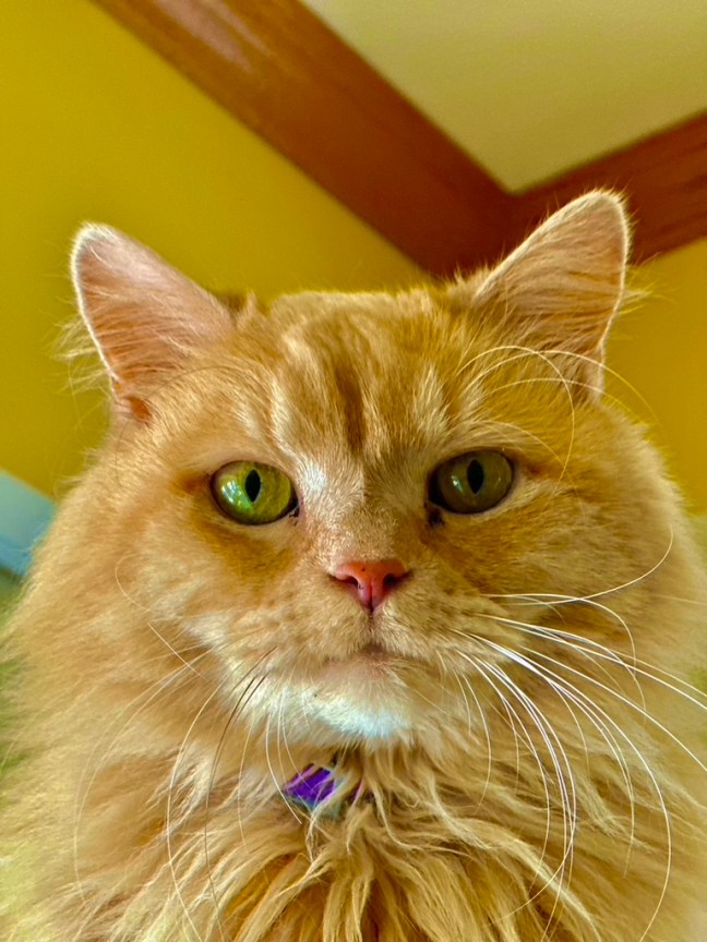 32935113-6F21-48DA-BFA5-FB9912313239_1_105_c