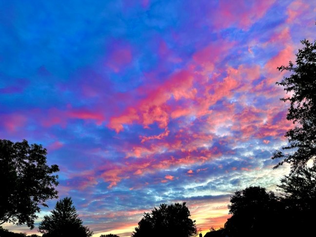 756FF103-2B4C-454A-AC49-8019DB2B58EF_1_105_c